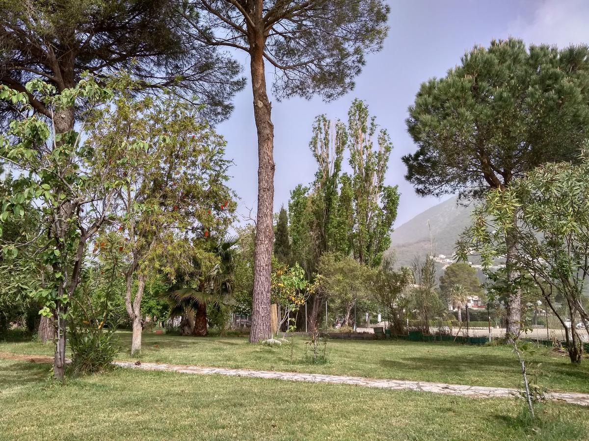 Palmyra Beachfront Studios Νυδρί Εξωτερικό φωτογραφία