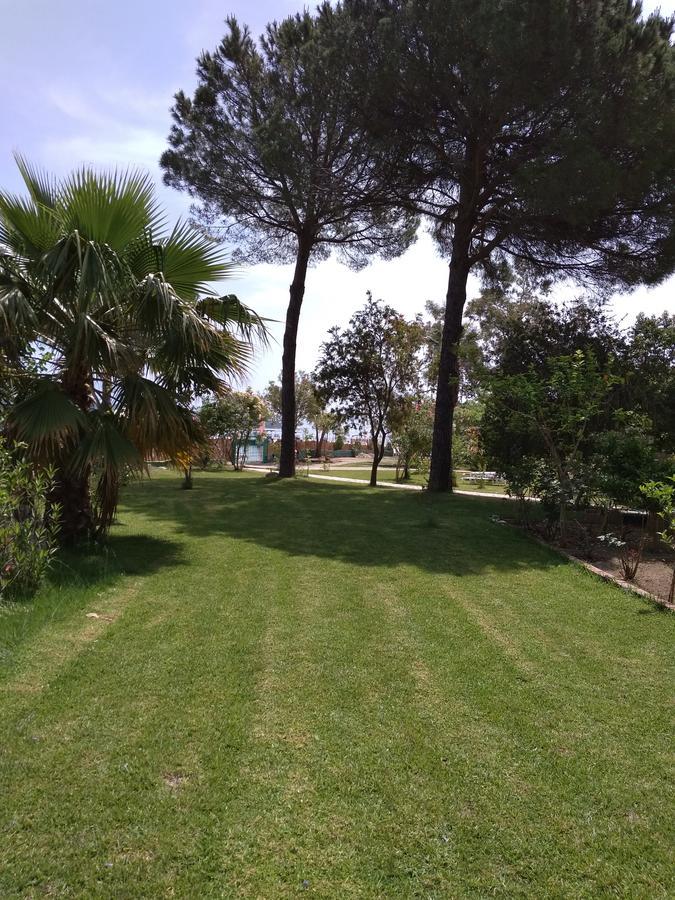 Palmyra Beachfront Studios Νυδρί Εξωτερικό φωτογραφία